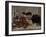 Les Cribleuses de blé-Gustave Courbet-Framed Giclee Print