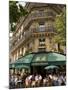 Les Deux Magots Restaurant, Paris, France-Neil Farrin-Mounted Photographic Print