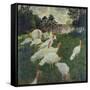 Les Dindons (The Turkeys)-Claude Monet-Framed Stretched Canvas