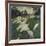 Les Dindons (The Turkeys)-Claude Monet-Framed Giclee Print