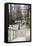 Les escaliers de Montmartre-Philippe Hugonnard-Framed Stretched Canvas