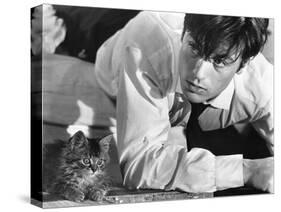 Les Felins Joy House by Rene Clement with Alain Delon, 1964 (b/w photo)-null-Stretched Canvas