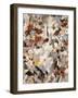 Les Fleurs II-Jodi Maas-Framed Giclee Print