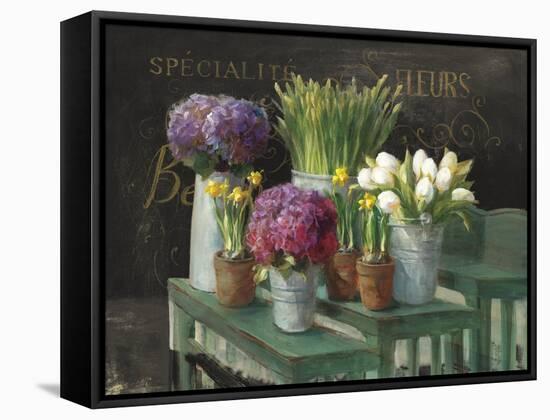 Les Fleurs Printemps on Black-Danhui Nai-Framed Stretched Canvas