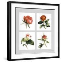 Les Fleurs Roses-Vincent Jeannerot-Framed Art Print