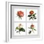 Les Fleurs Roses-Vincent Jeannerot-Framed Art Print