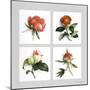 Les Fleurs Roses-Vincent Jeannerot-Mounted Art Print