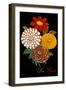 Les Fleurs-Mindy Sommers-Framed Giclee Print