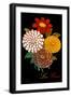 Les Fleurs-Mindy Sommers-Framed Giclee Print