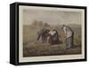 Les Glaneuses (Colour Litho)-Jean-Francois Millet-Framed Stretched Canvas