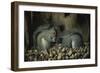 Les Gloutons-Joseph Decker-Framed Giclee Print