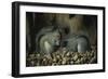 Les Gloutons-Joseph Decker-Framed Giclee Print