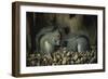 Les Gloutons-Joseph Decker-Framed Premium Giclee Print