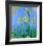 Les Iris Jaunes-Claude Monet-Framed Art Print