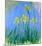 Les Iris Jaunes-Claude Monet-Mounted Art Print