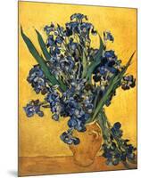 Les Iris-Vincent van Gogh-Mounted Art Print