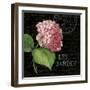 Les Jardin Geranium Sq.-Kimberly Poloson-Framed Art Print