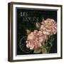 Les Jardin Roses Sq.-Kimberly Poloson-Framed Art Print