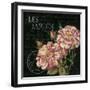 Les Jardin Roses Sq.-Kimberly Poloson-Framed Art Print