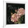 Les Jardin Roses Sq.-Kimberly Poloson-Framed Art Print