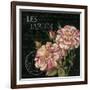 Les Jardin Roses Sq.-Kimberly Poloson-Framed Art Print