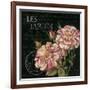 Les Jardin Roses Sq.-Kimberly Poloson-Framed Art Print