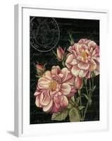 Les Jardin Roses-Kimberly Poloson-Framed Art Print