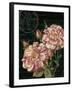 Les Jardin Roses-Kimberly Poloson-Framed Art Print