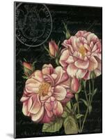 Les Jardin Roses-Kimberly Poloson-Mounted Art Print