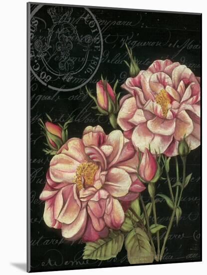 Les Jardin Roses-Kimberly Poloson-Mounted Art Print