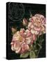 Les Jardin Roses-Kimberly Poloson-Stretched Canvas