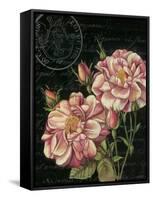 Les Jardin Roses-Kimberly Poloson-Framed Stretched Canvas