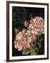 Les Jardin Roses-Kimberly Poloson-Framed Art Print