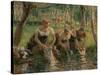 Les Lavandieres, the Washerwomen, 1895-Camille Pissarro-Stretched Canvas