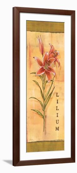 Les Lys III-Charlene Audrey-Framed Art Print