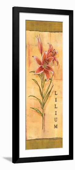 Les Lys III-Charlene Audrey-Framed Art Print