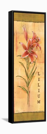 Les Lys III-Charlene Audrey-Framed Stretched Canvas