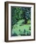 Les Marais Poitevin, 2003-Michel Bultet-Framed Giclee Print