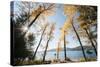 Les Mason State Park Along Whitefish Lake, Montana-Steven Gnam-Stretched Canvas