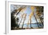 Les Mason State Park Along Whitefish Lake, Montana-Steven Gnam-Framed Photographic Print