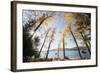 Les Mason State Park Along Whitefish Lake, Montana-Steven Gnam-Framed Photographic Print