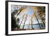 Les Mason State Park Along Whitefish Lake, Montana-Steven Gnam-Framed Photographic Print