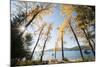 Les Mason State Park Along Whitefish Lake, Montana-Steven Gnam-Mounted Photographic Print