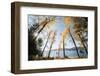 Les Mason State Park Along Whitefish Lake, Montana-Steven Gnam-Framed Photographic Print