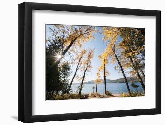 Les Mason State Park Along Whitefish Lake, Montana-Steven Gnam-Framed Photographic Print