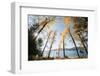 Les Mason State Park Along Whitefish Lake, Montana-Steven Gnam-Framed Photographic Print