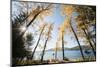 Les Mason State Park Along Whitefish Lake, Montana-Steven Gnam-Mounted Photographic Print