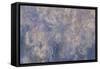 Les Nymph? : les Nuages-Claude Monet-Framed Stretched Canvas