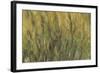 Les Nymph? : Soleil couchant-Claude Monet-Framed Giclee Print