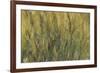 Les Nymph? : Soleil couchant-Claude Monet-Framed Giclee Print